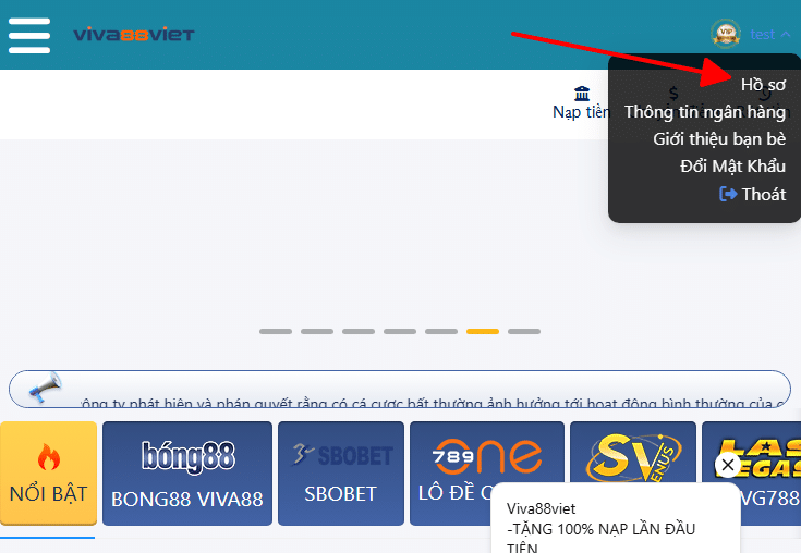 Hồ sơ tài khoản ibet888